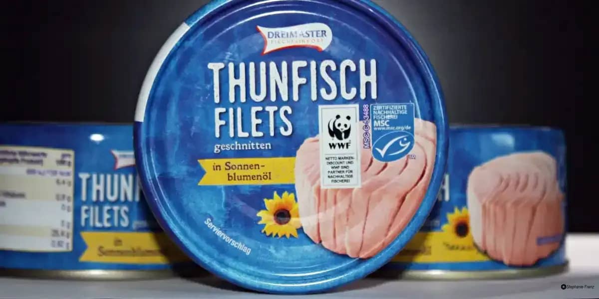 Prepper Lebensmittel Konserven für zuhause